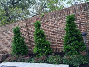 Кирпичный забор сплошной 12 метров фото в Троицке